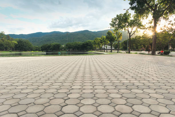 Best Driveway Pavers Near Me  in Lenexa, KS